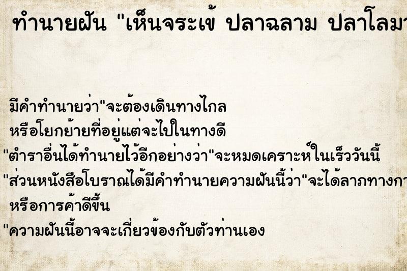 ทำนายฝัน เห็นจระเข้ ปลาฉลาม ปลาโลมา ตัวใหญ่